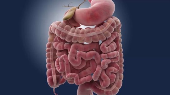 سرطان الأمعاء الدقيقة