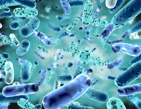 البروبيوتيك: البكتيريا النافعة - منصة شفاء