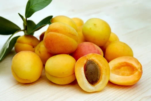 فوائد المشمش
