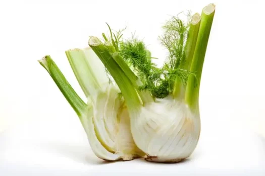 فوائد الشمر