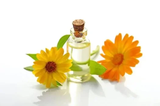 فوائد البابونج