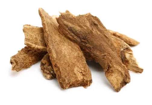 فوائد القسط الهندي