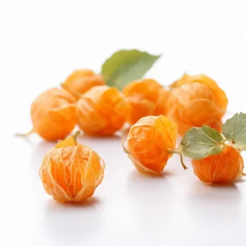 فوائد الحرنكش