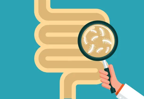 أعراض جرثومة المعدة النفسية : العلاقة بين القلق واضطرابات الجهاز الهضمي