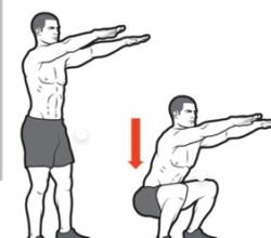 تمارين الركبة