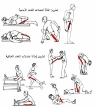 تمارين تقوية عضلات الفخذ