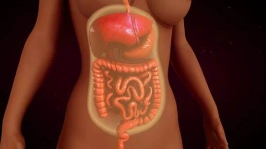 أعراض التهاب الصفاق عند النساء